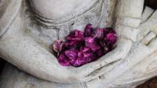 Mindfulness/Meditation