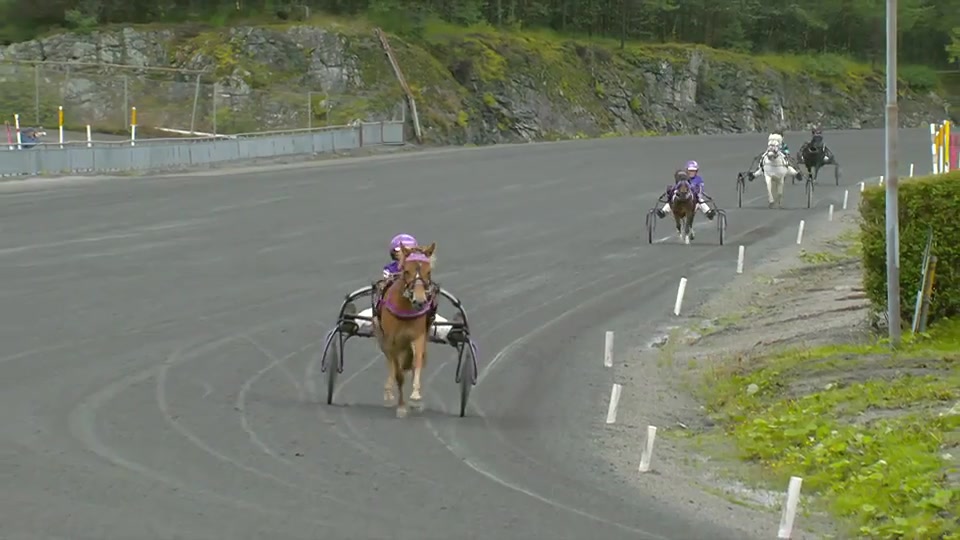 Bergen travpark, ekstraløp 8. august 2026.