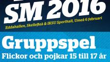 Futsal-SM 2016 P15 och P17