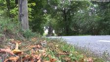 Driveby at lower speeds BMW M6 Gran Coupe: sounds lovely from outside!