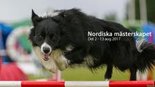 Nordiska Mästerskapet - dag 2