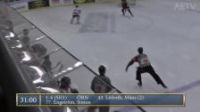 HockeyEttan Norra vår