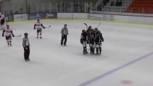 Highlights HC Dalen - Nybro Vikings 2-4