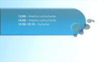 Webbcastnyheter 10/11-17 12:54 - 13:02