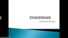 Sammanfattning - på arabiska