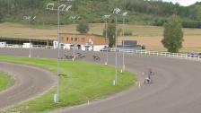 Jarlsberg travbane race 50 at 2023 09 03 a9fd0d3a