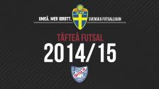 Målkavalkad 2014/2015