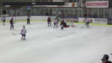 Highlights HC Dalen - Halmstad HF 1-4