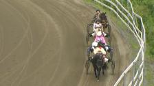 Bodø travbane 28. juni 2026