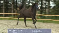 # 81 - Maksi Princess