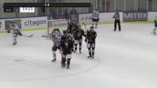 Highlights HC Dalen - Halmstad HF 1-3