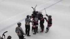 Highlights HC Dalen - Nybro Vikings 4-3