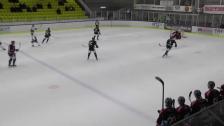 Highlights HC Dalen - Mörrums GoIS 8-0