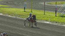 Leangen Travbane 9. august (BCD løp)